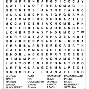 Word Search